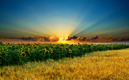 493247 (a): :2560x1600